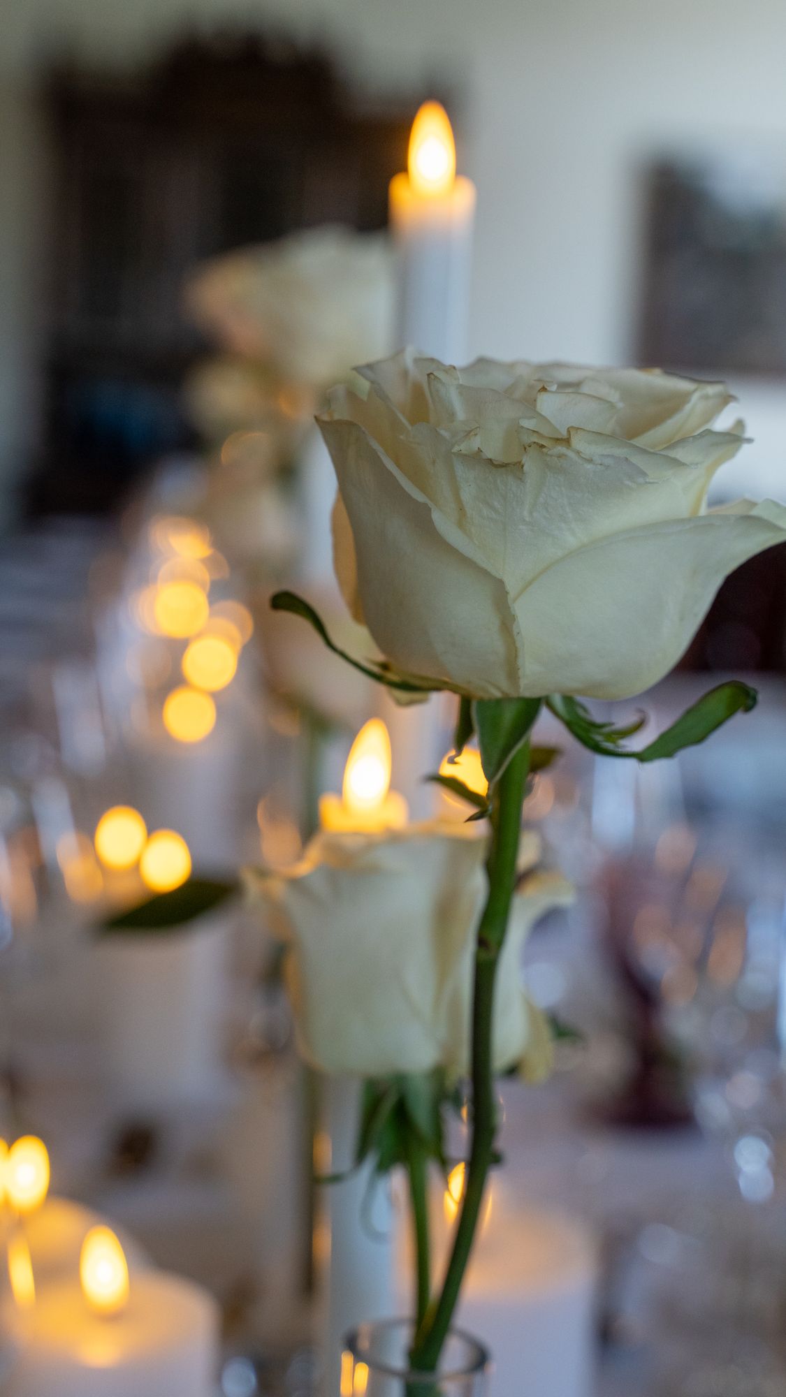 Rosa blanca y velas en la mesa